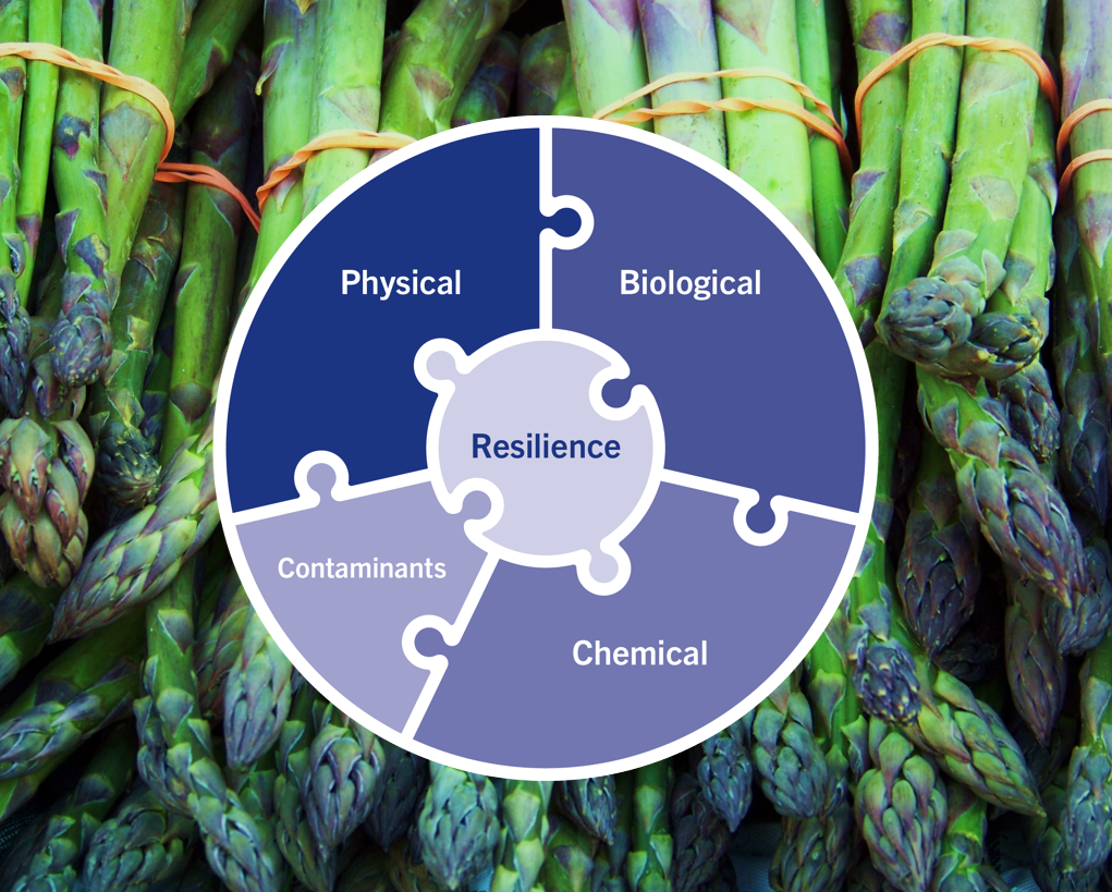 crop-solutions-graphic (1)