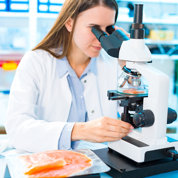 lab1