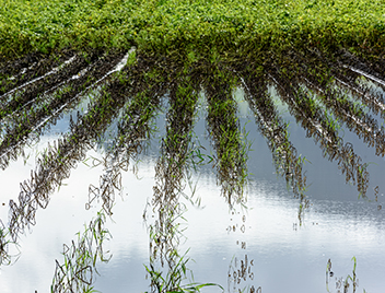 ground-water