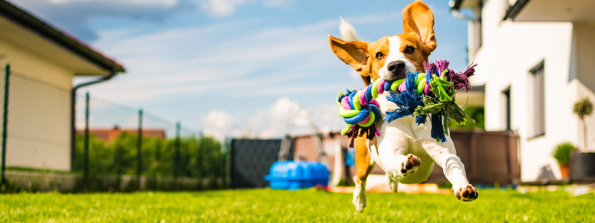 eurofins_softlines_hardlines_pet_product_testing