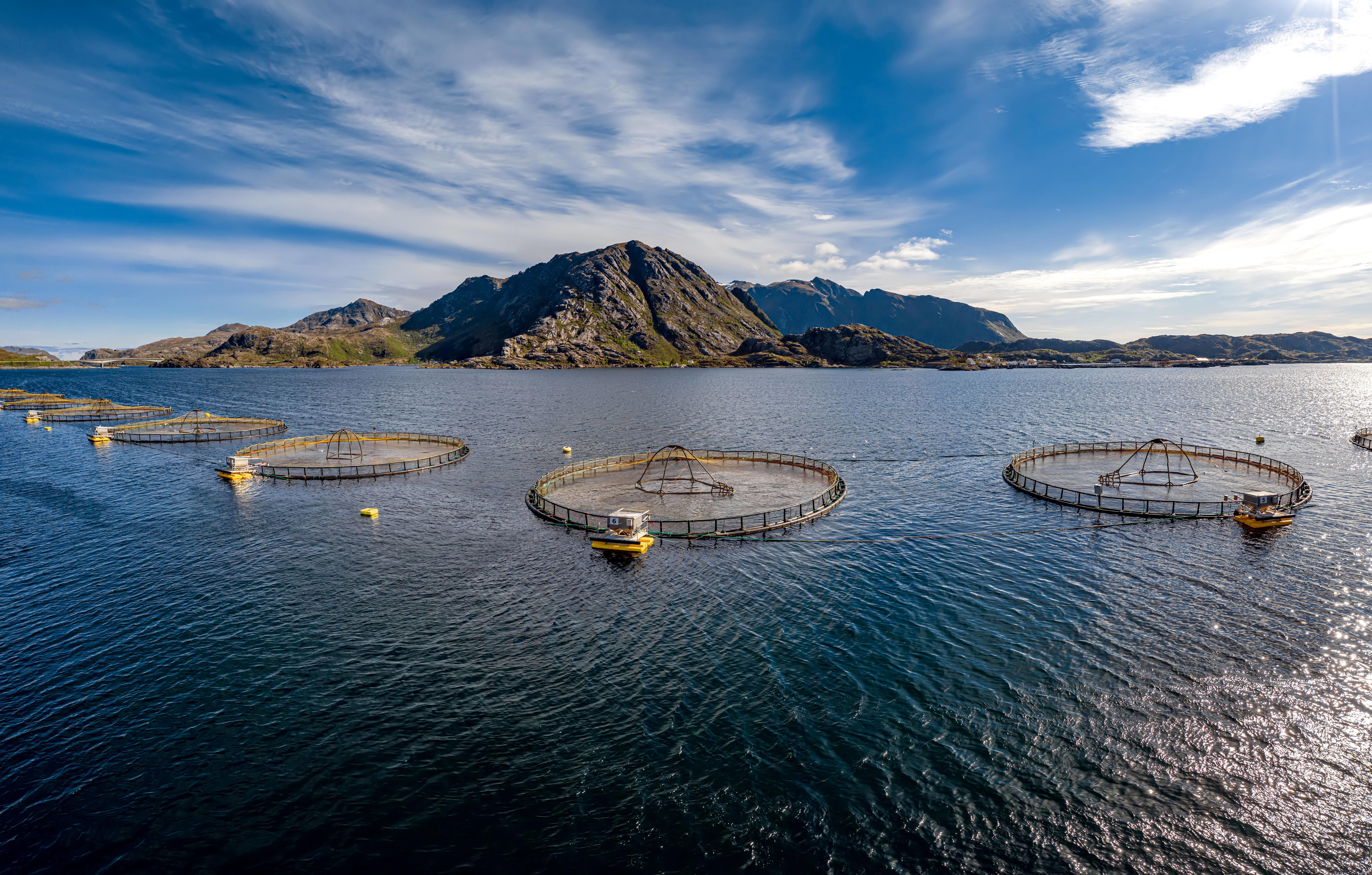 farm-salmon-fishing-in-norway-norway-is-the-biggest-producer-of-farmed-salmon-in-the-world_8250-x-5262-px