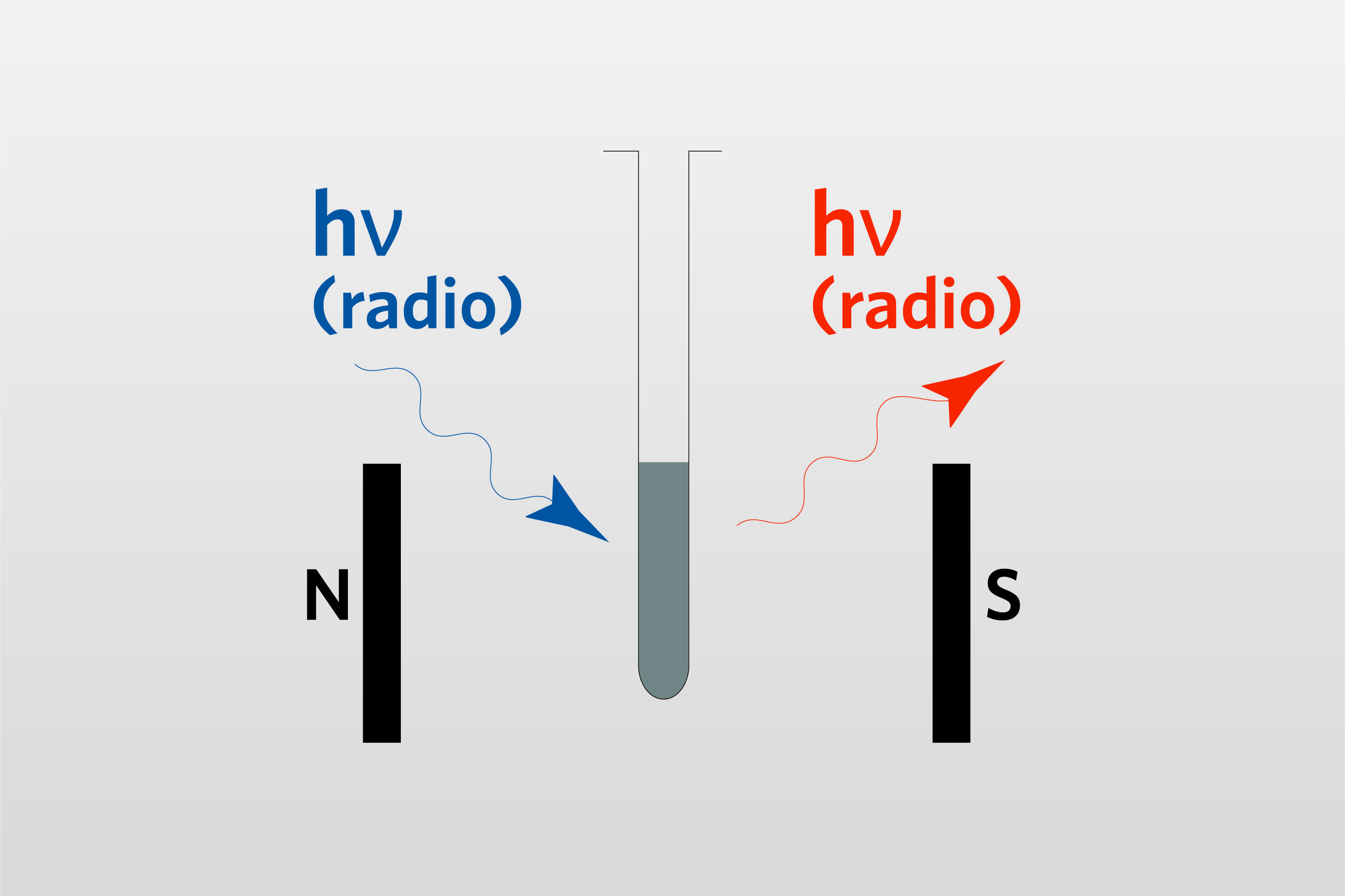 nmr_768x512