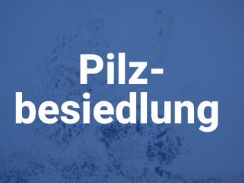 pilzbesiedlung