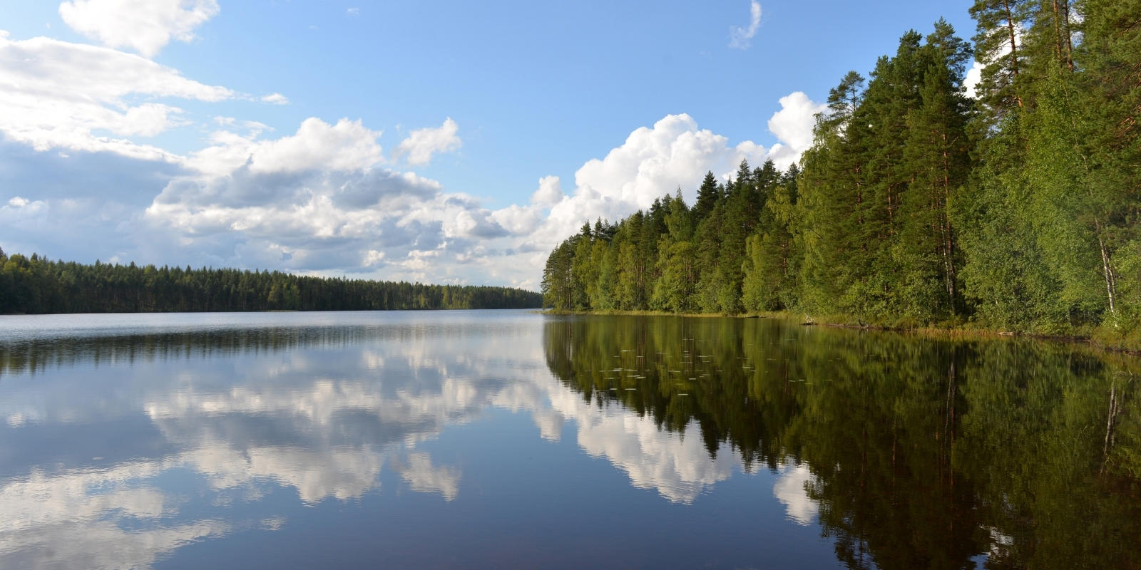 Vesinäytetteet järvivedestä