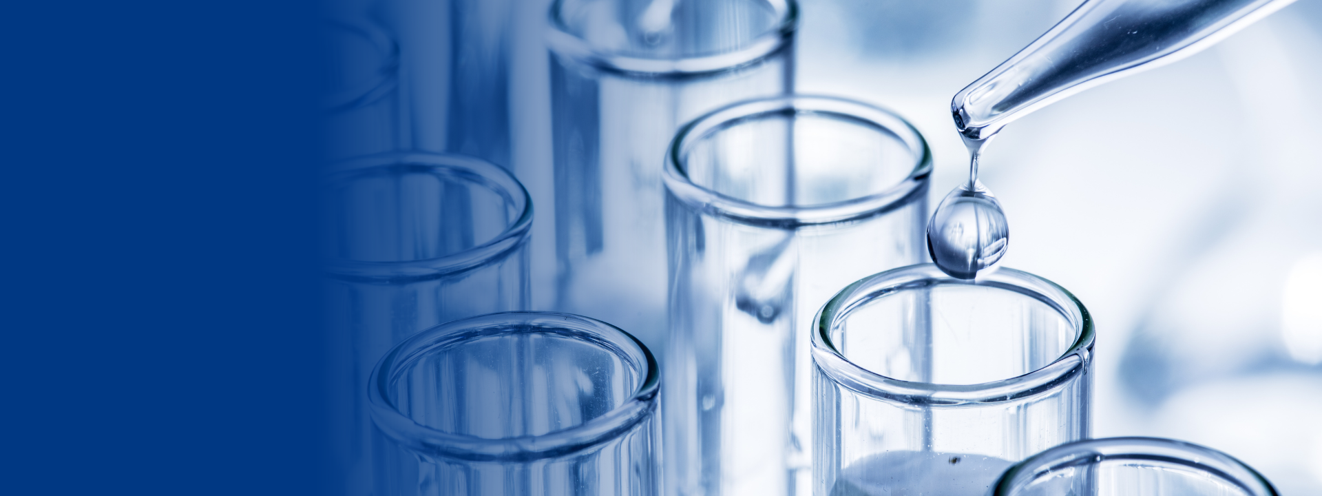 chromosome-aberration-test-website-banners