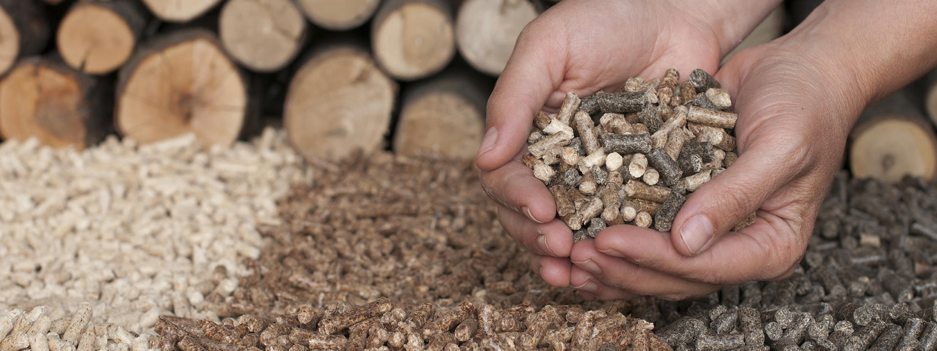 biofuel-banner