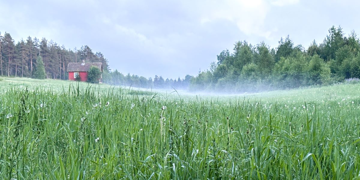 gras