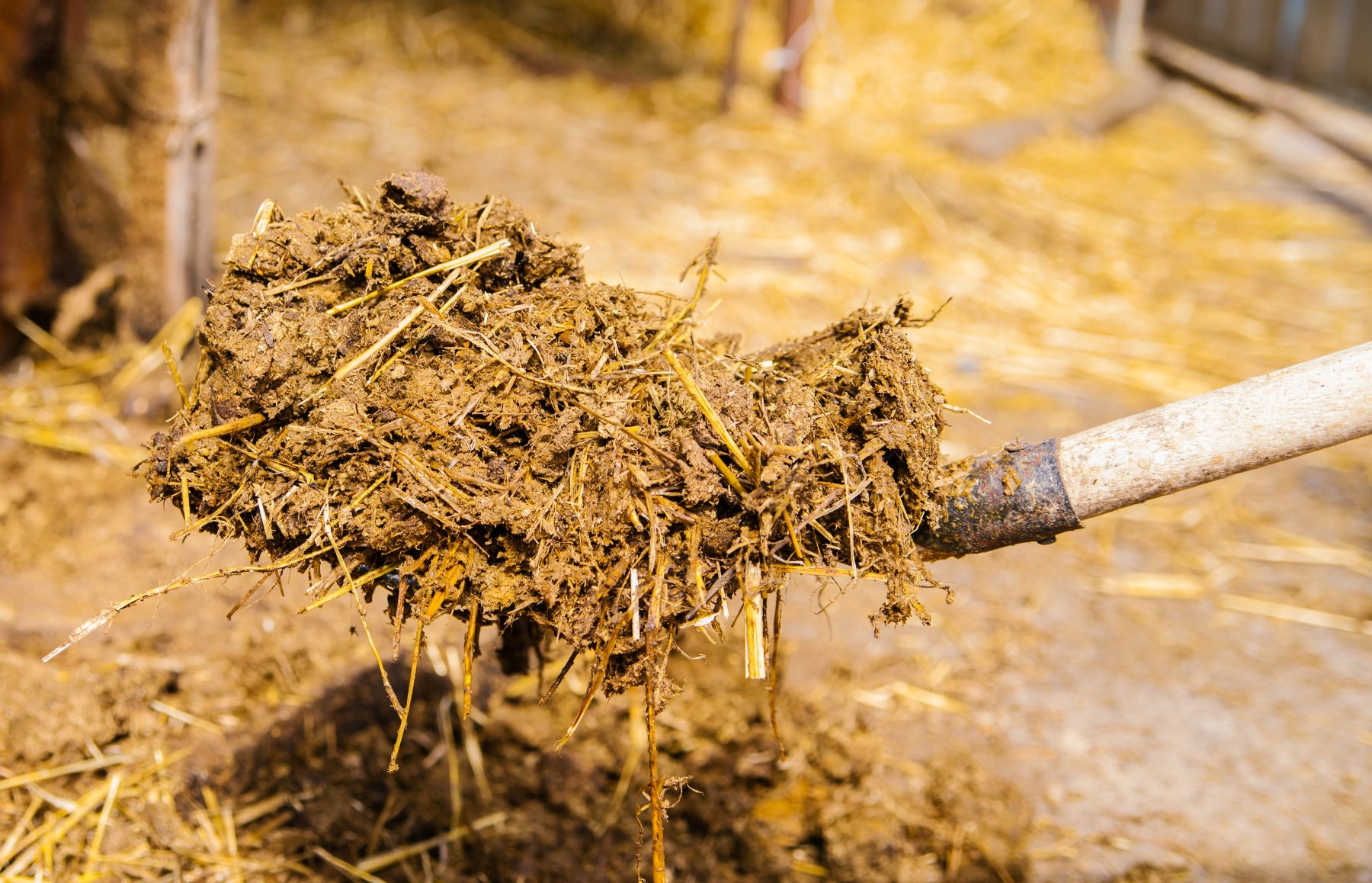 gjoedsel-spade_eurofins-agro