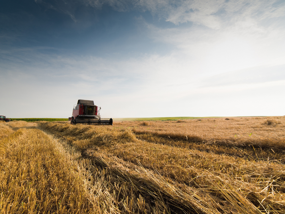 landwirtschaft