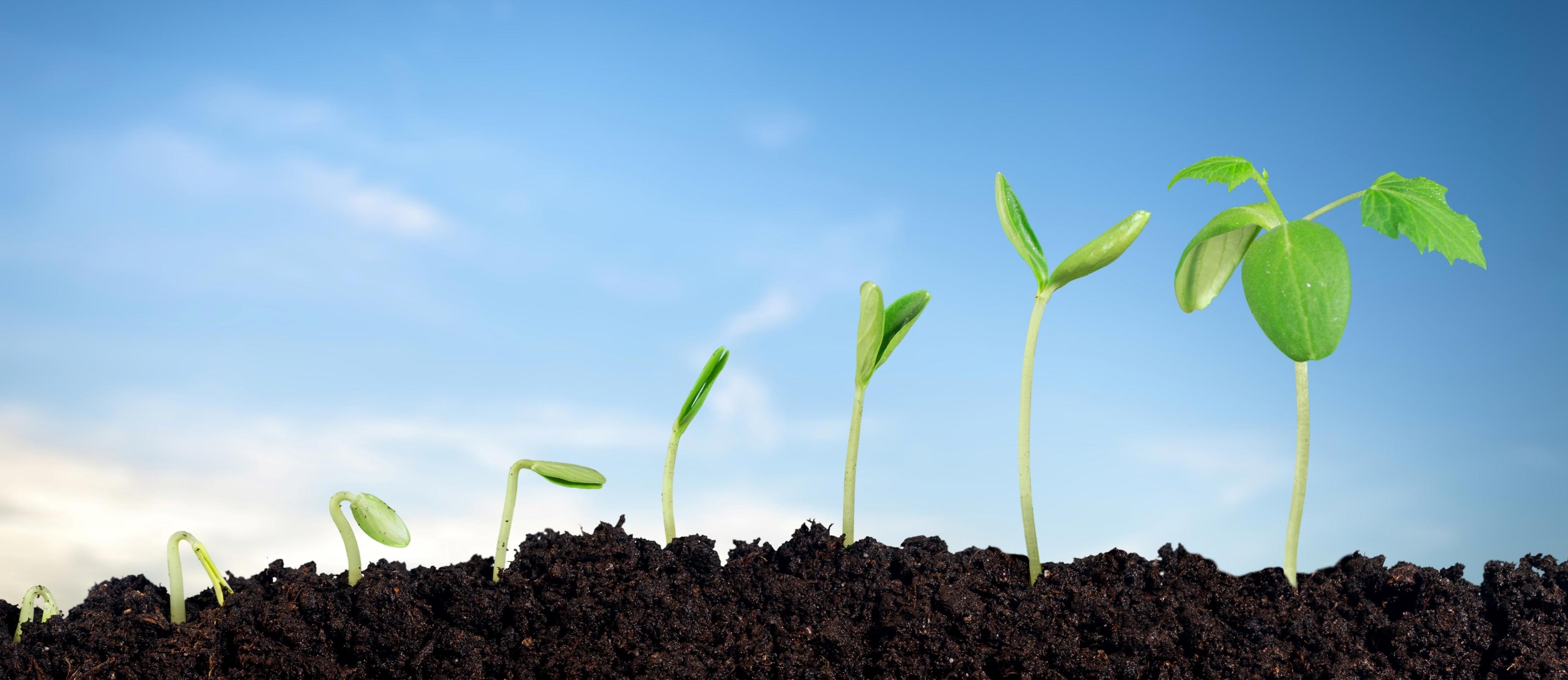 eas-homepage-image-3