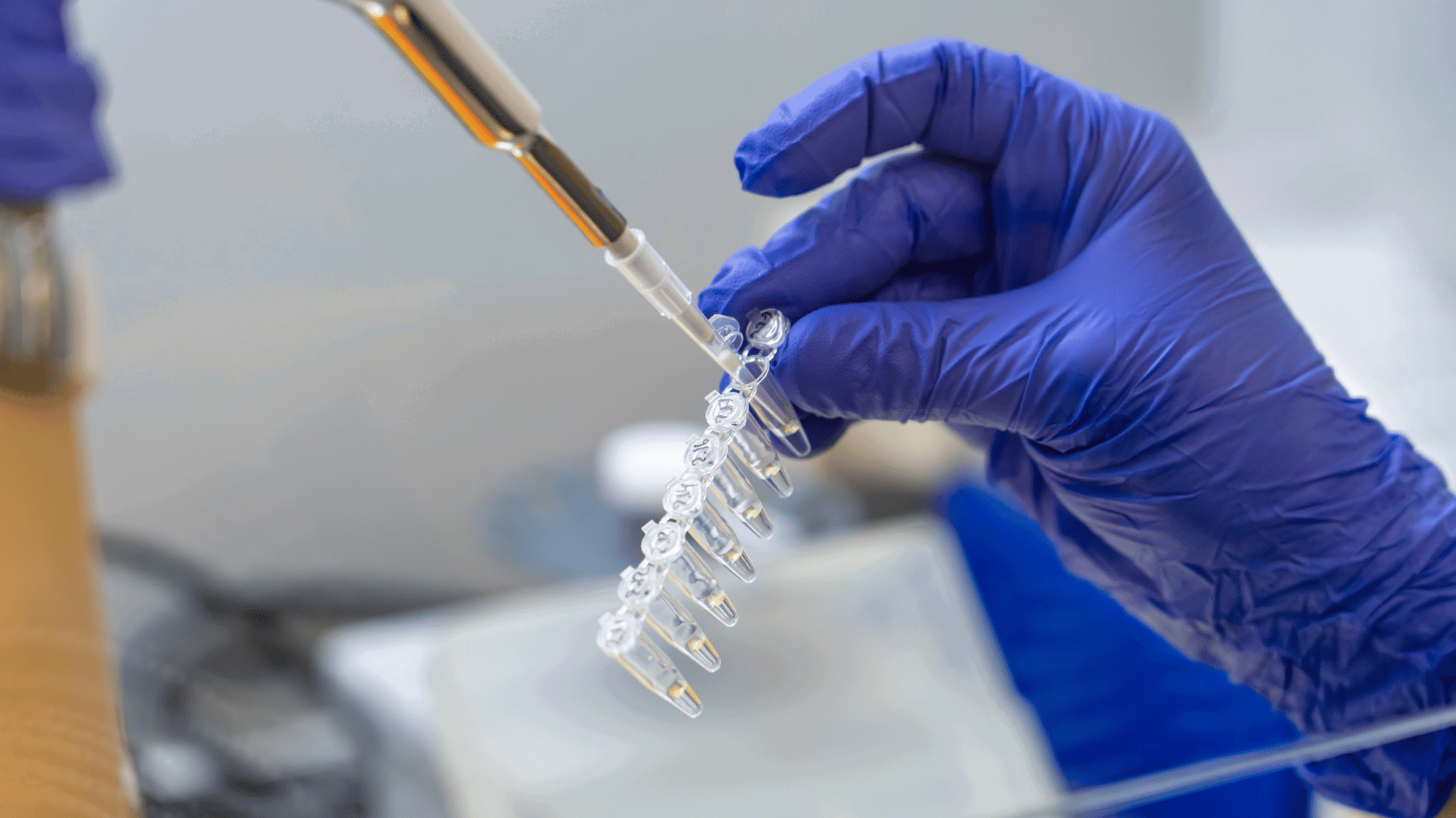 dna-forensic-offerings