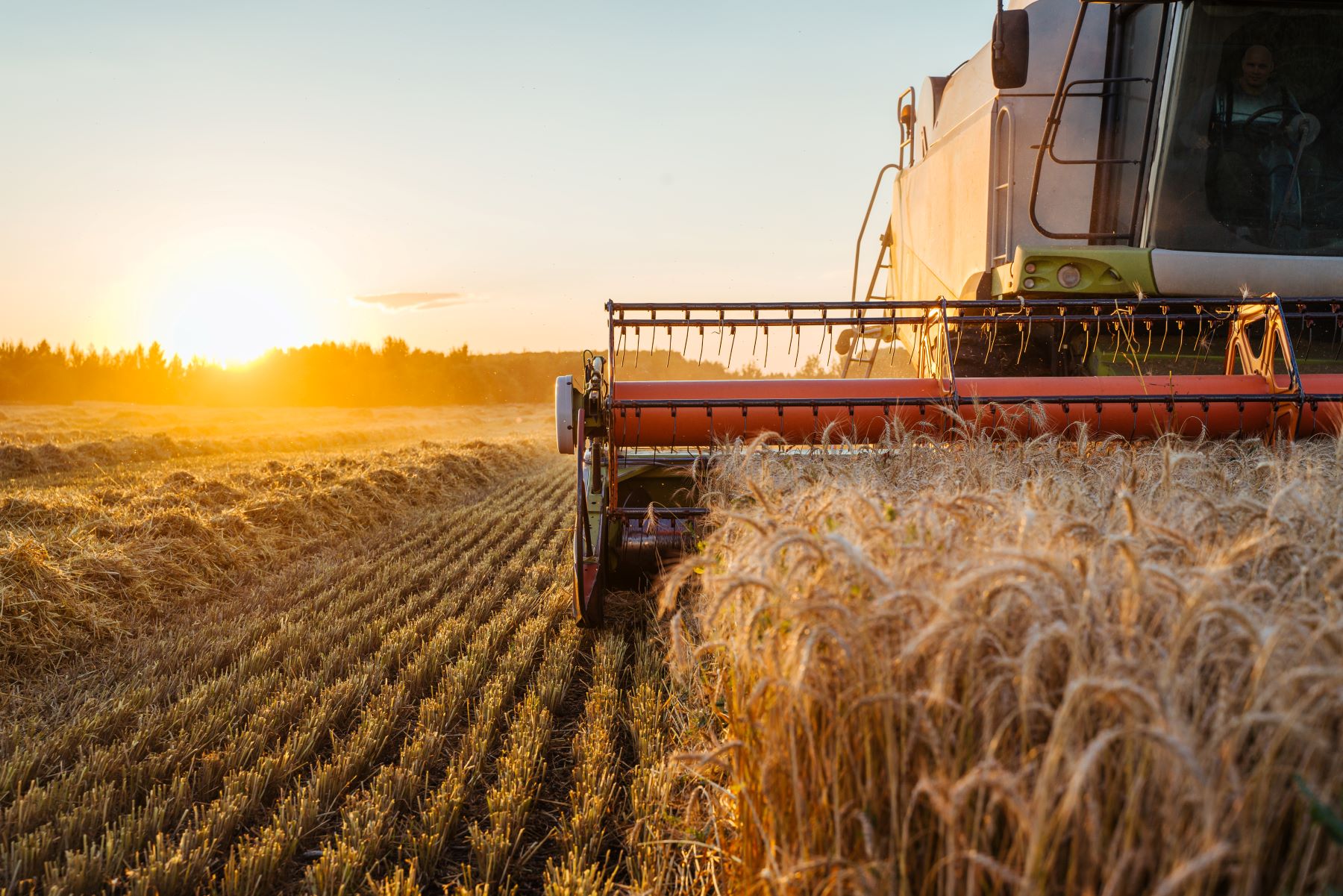 tresker-korn_eurofins-agro