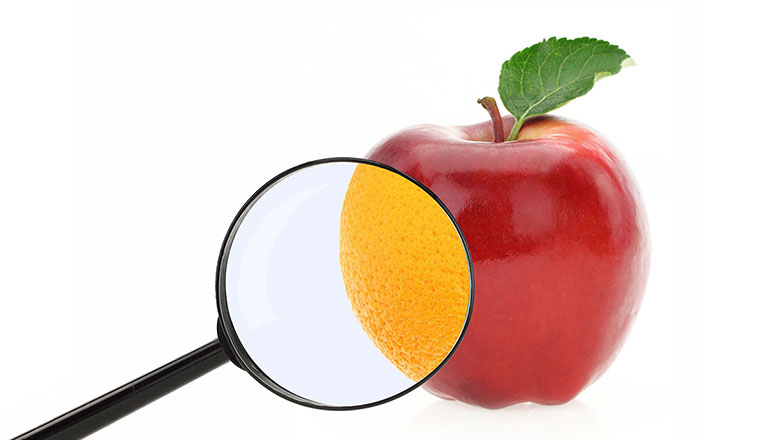 authenticity_760x440px