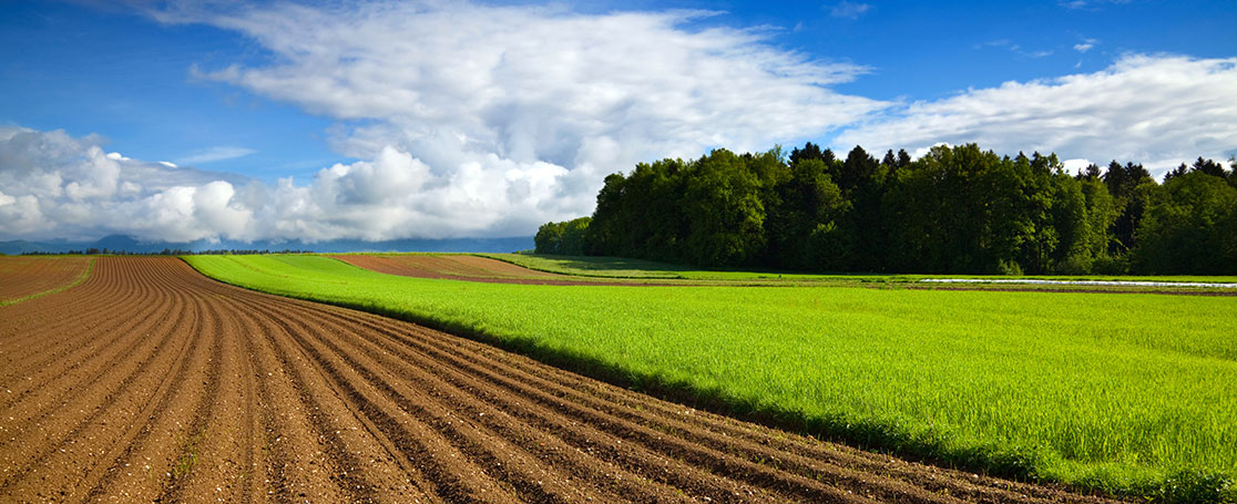 farm-field_newsbanner_1116x455px