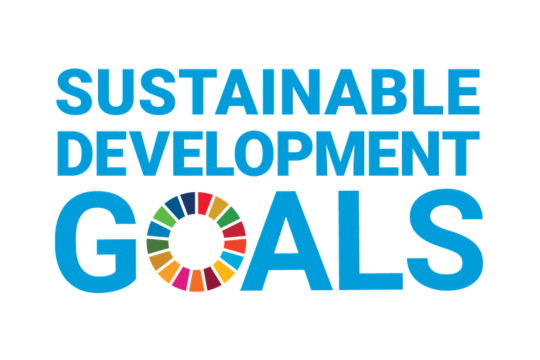 sustainable-development-goals