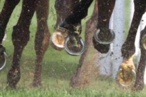 hover i galopp