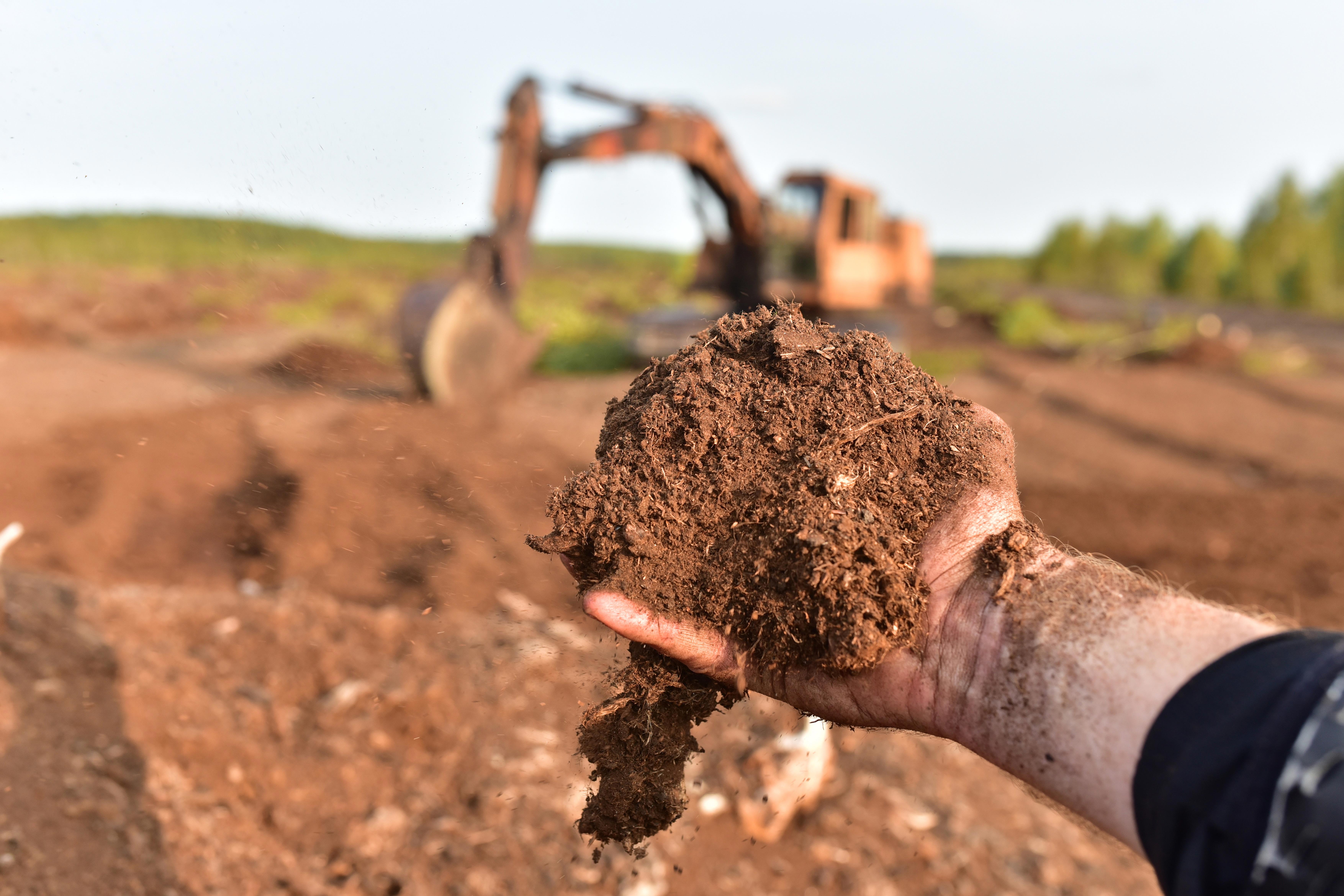 peat-moss-background-peat-moss-industry-harvests-and-ships-millions-of-kilograms-to-countries-around-the-world_pienempi-9024-x-6024px