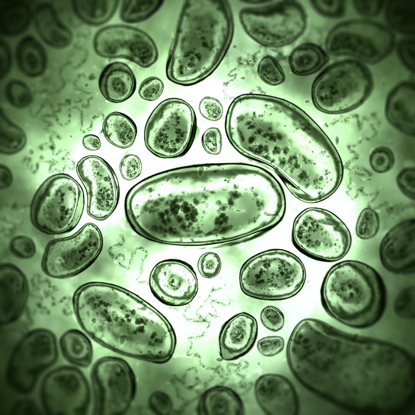 bacteria_1386x1385px