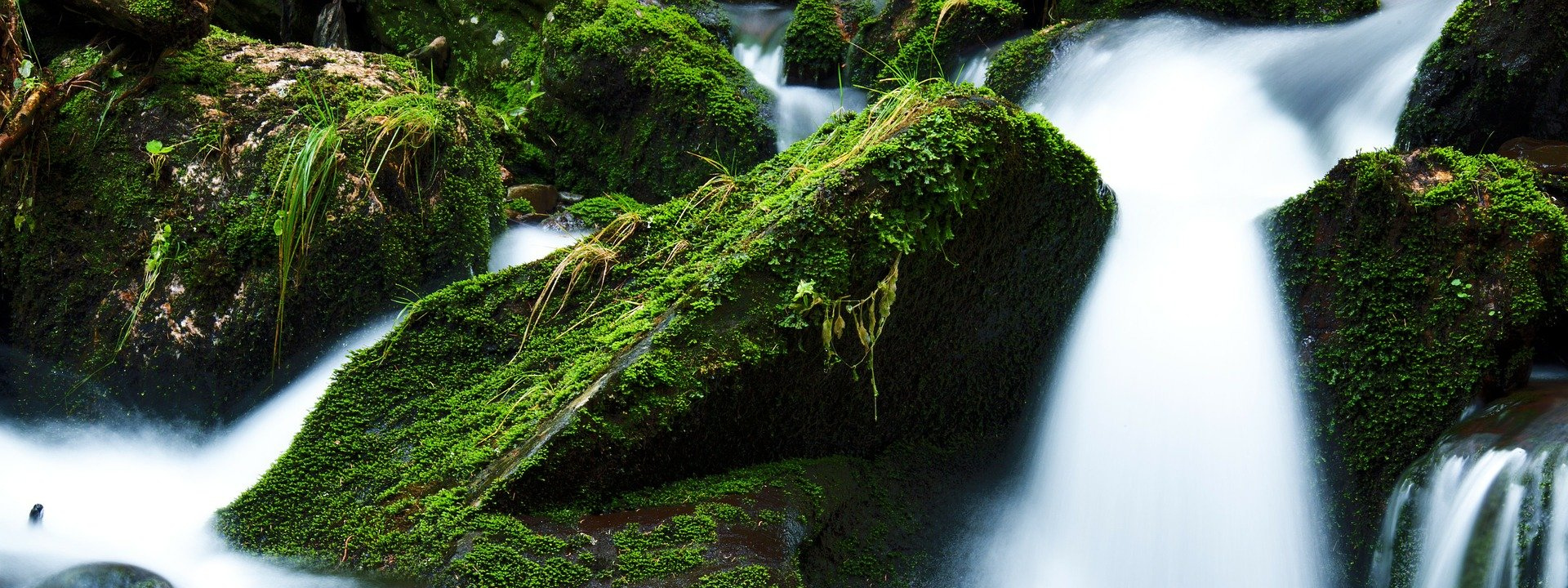 service-overview-ecotox-biodegra