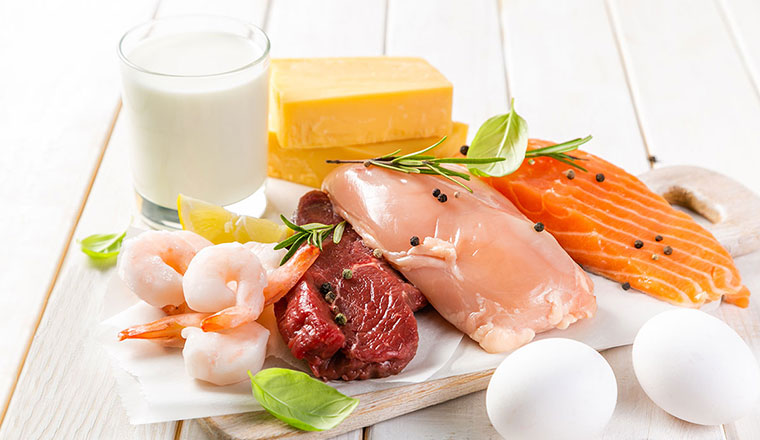 fish-meat-dairy_760x440px