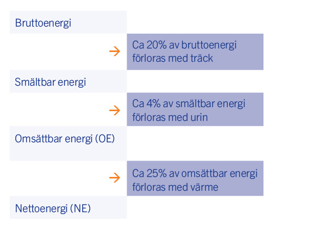 naeringsanalys-av-grovfoder-till-haest-fig-1