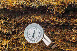 Temperatur i grovfôr varmgangsindeks