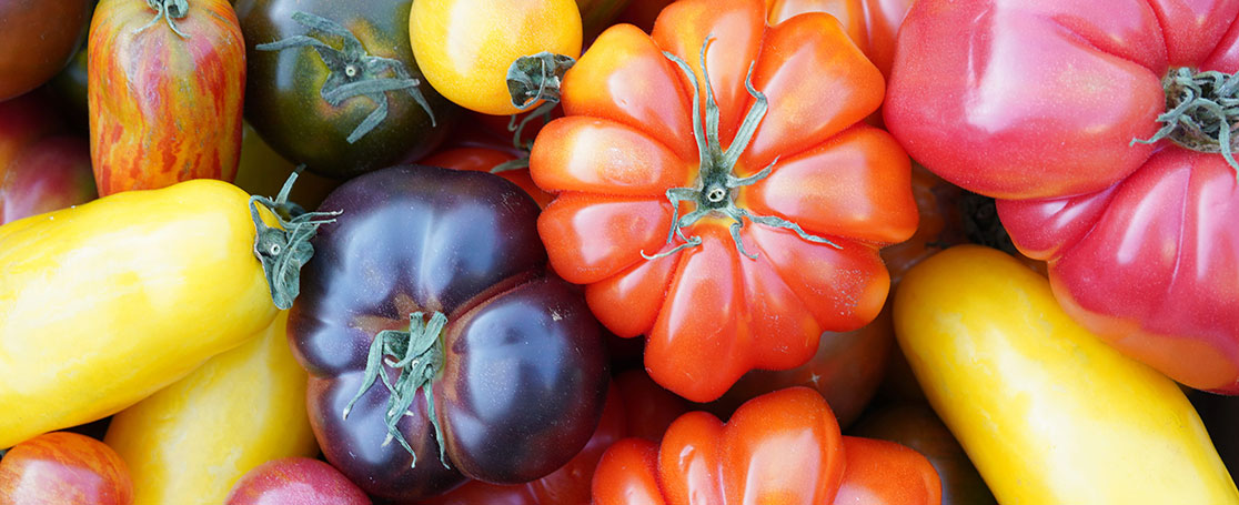tomatoes_1116x455px
