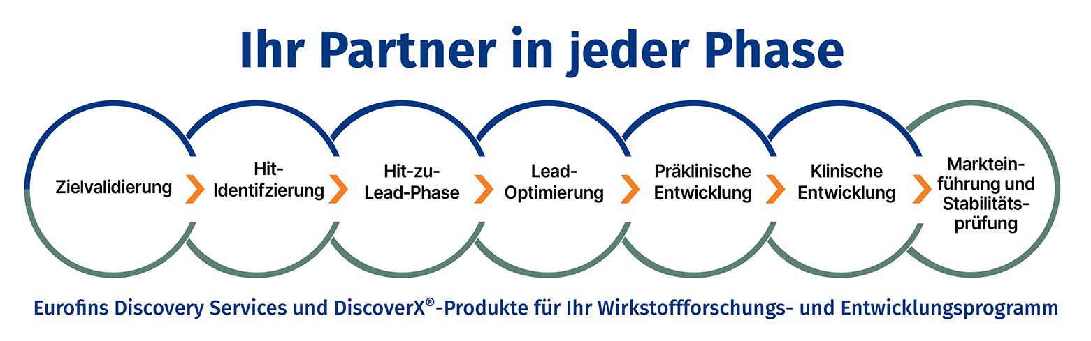 Eurofins Discovery - Entwicklungsphasen in der Arzneimittelforschung