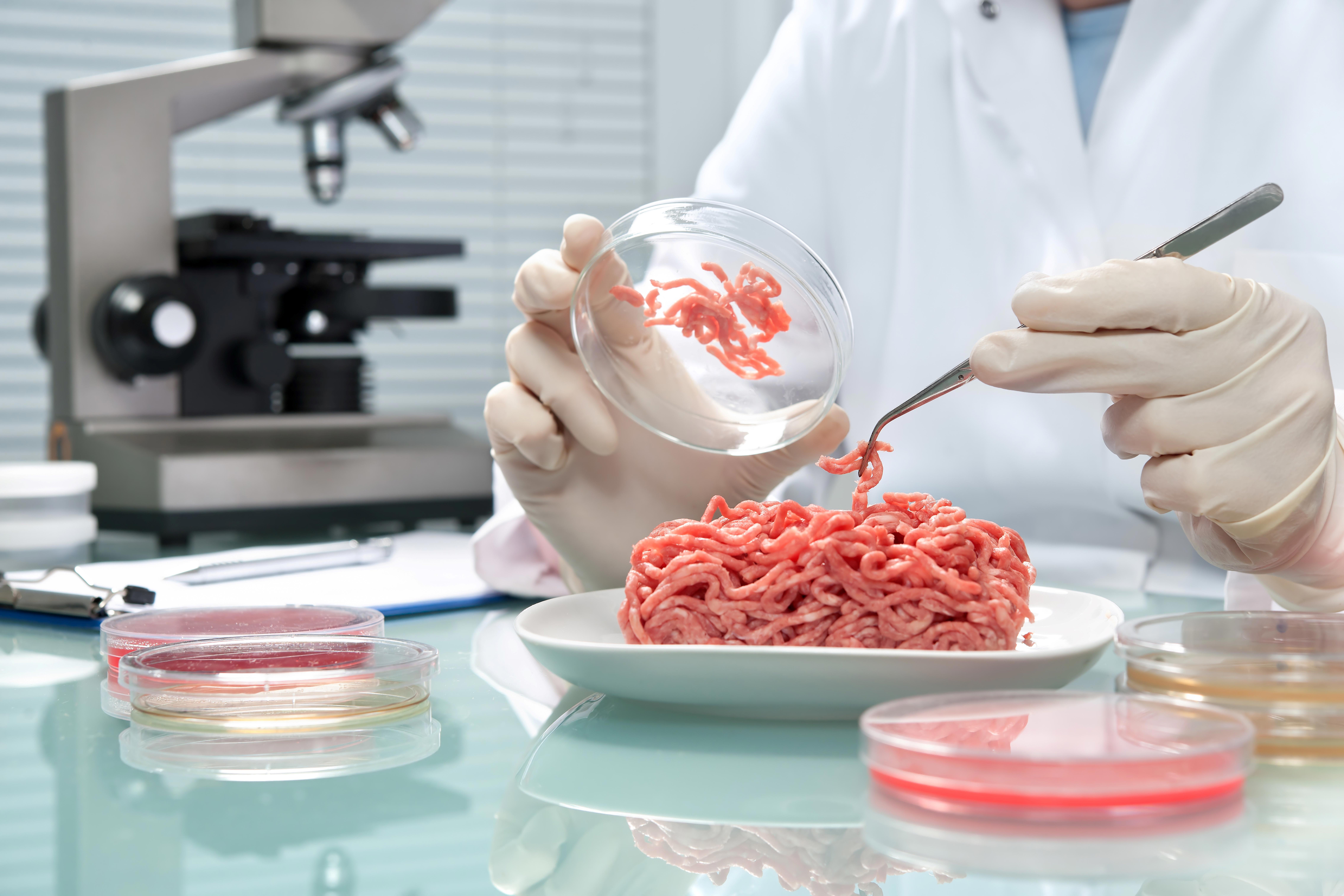 food-quality-control-expert-inspecting-at-meat-specimen-in-the-laboratory-xl_9072x6048px