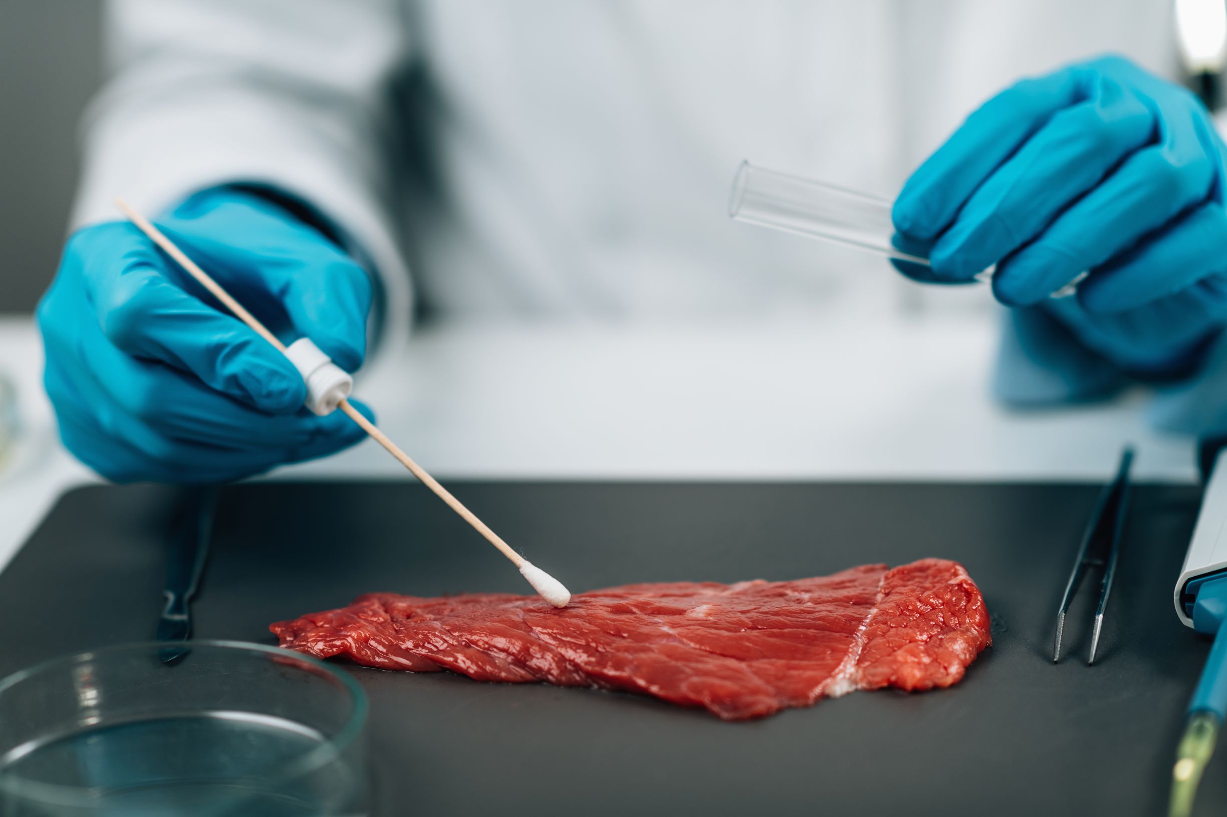 microbiologist-sampling-red-meat-surface-with-cotton-swab-searching-for-the-presence-of-foodborne-bacteria_11968-x-7978-px