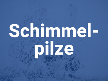 schimmelpilze