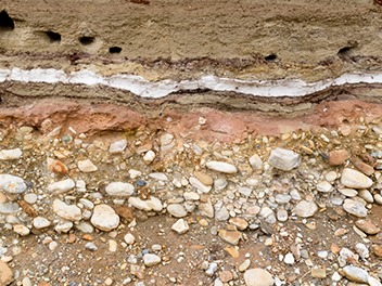 sediment