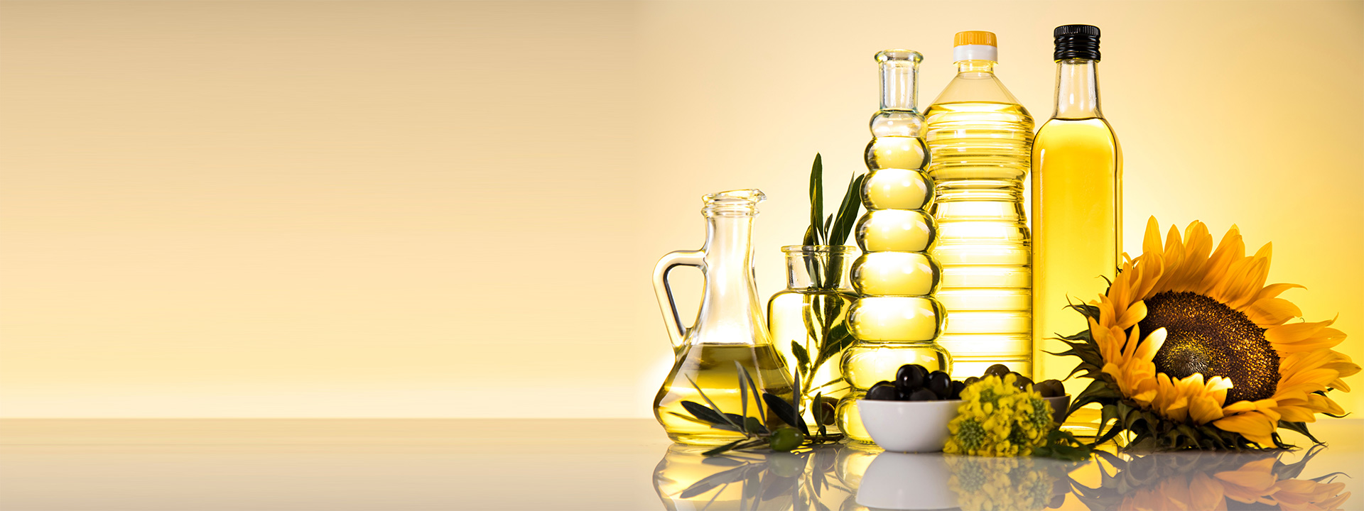 fats_oils_banner_1920x720px