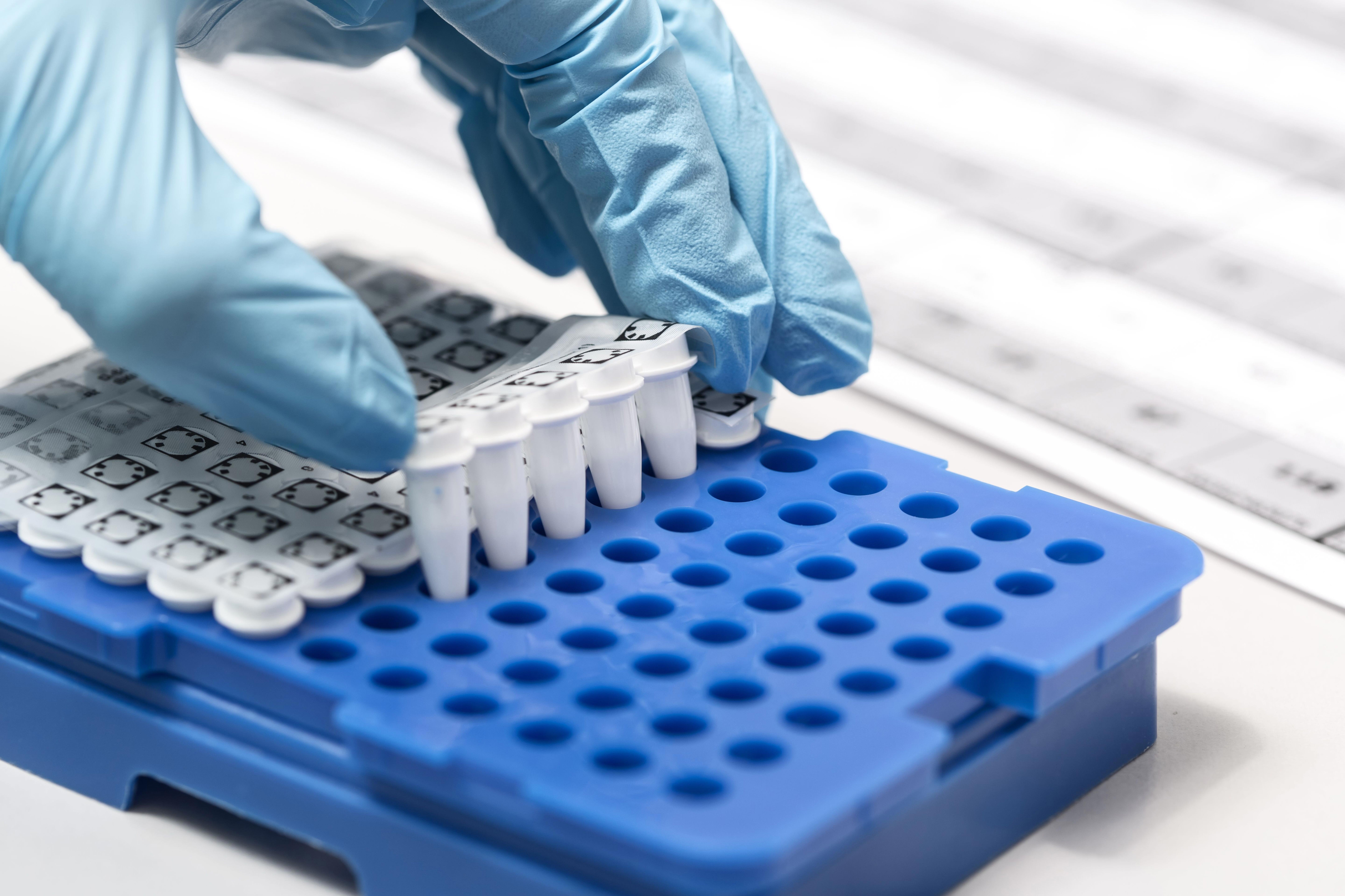 mikrobiologisk-stammebank
