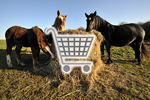 grovfoder-webshopp