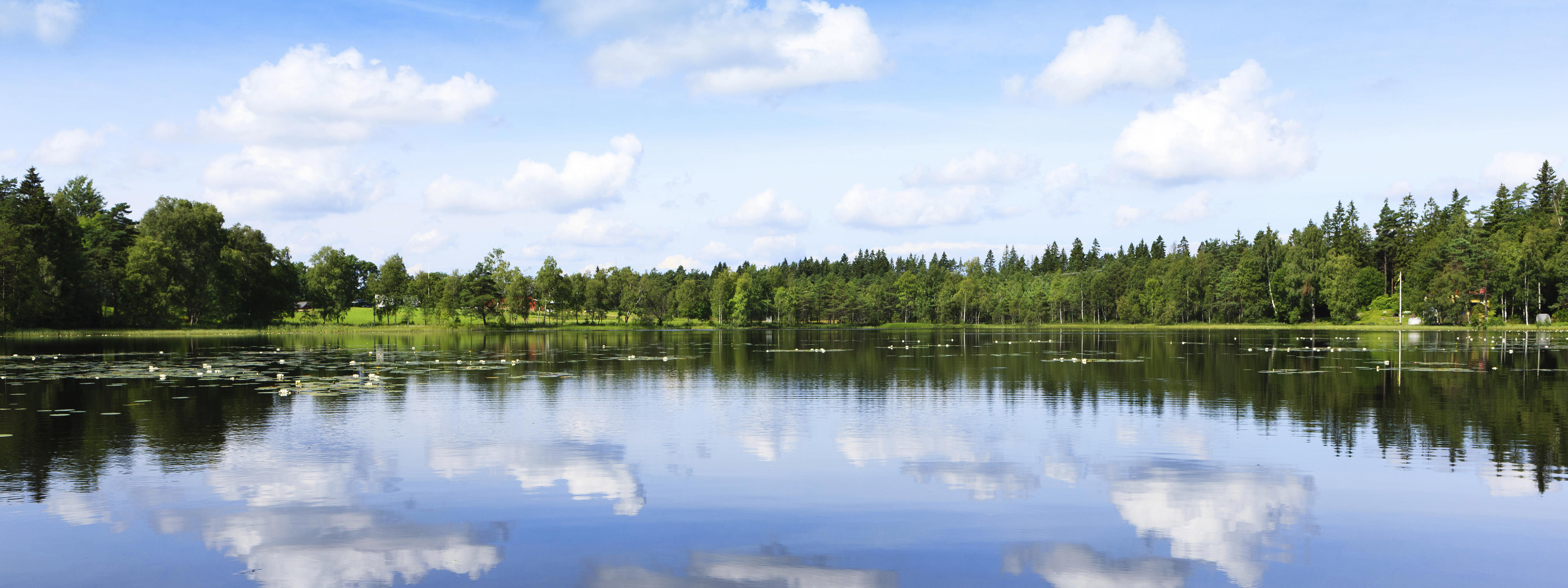 swedish-lake-in-summer_1920x720px