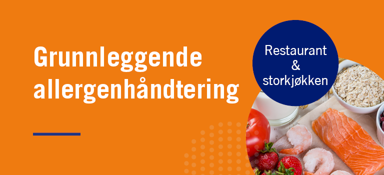 e-laering10-1
