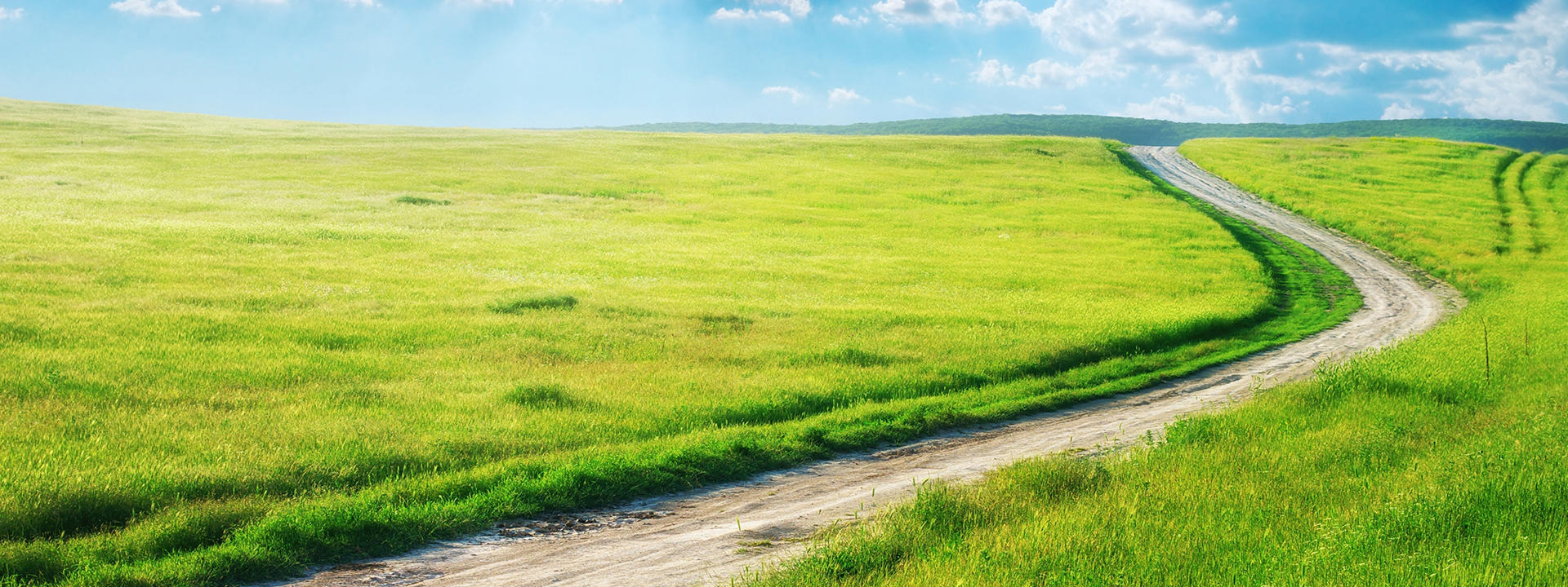 horizon-scanning_banner_1920x720px