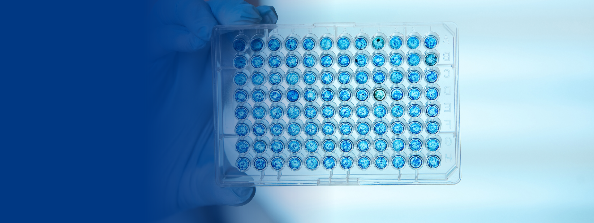 direct-cell-contact-test-website-banners