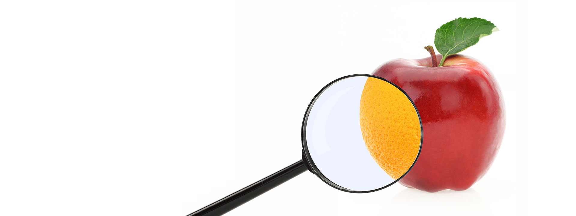 Lebensmittelauthentizität  - Food authenticity - Food fraud