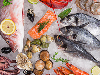 fresh-tasty-seafood-served-on-crushed-ice_352-x-264px