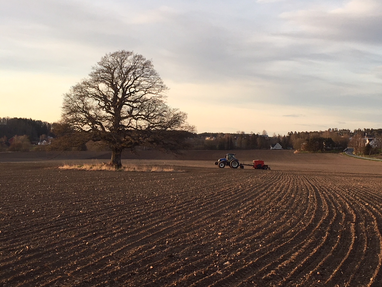 Traktor på jorde
