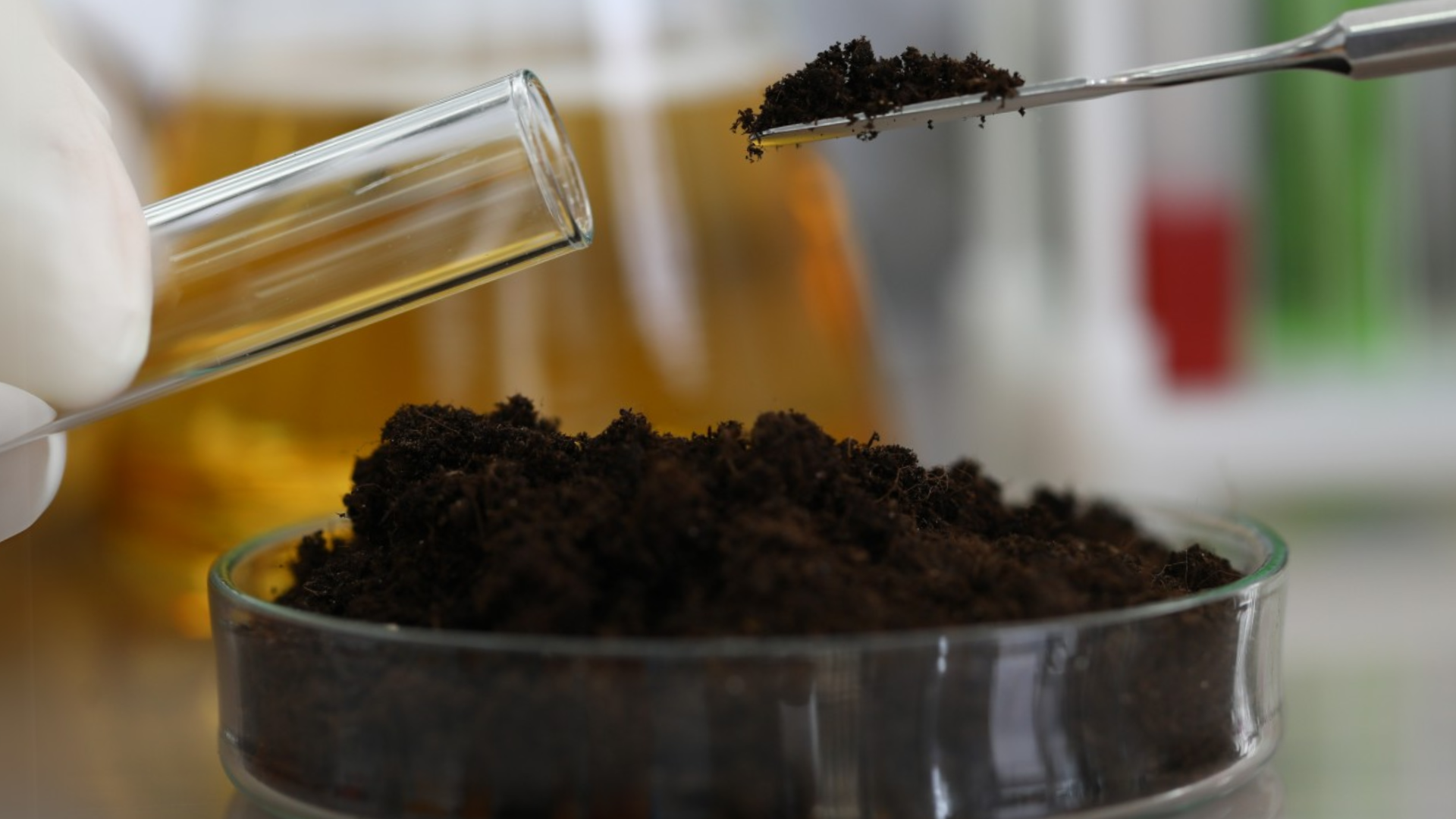 compostability-testing