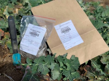 plant-sample