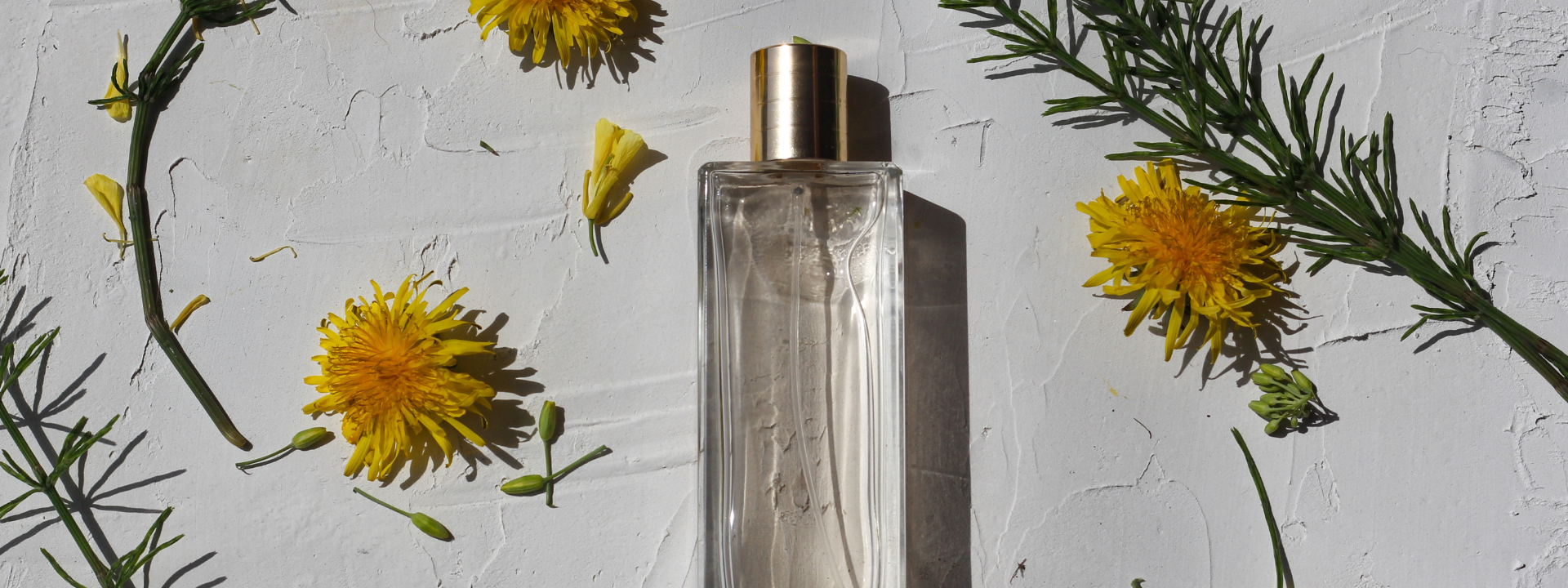 problemsolution-perfumes