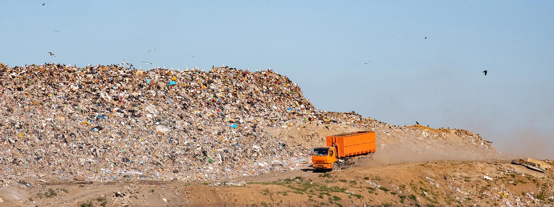 waste