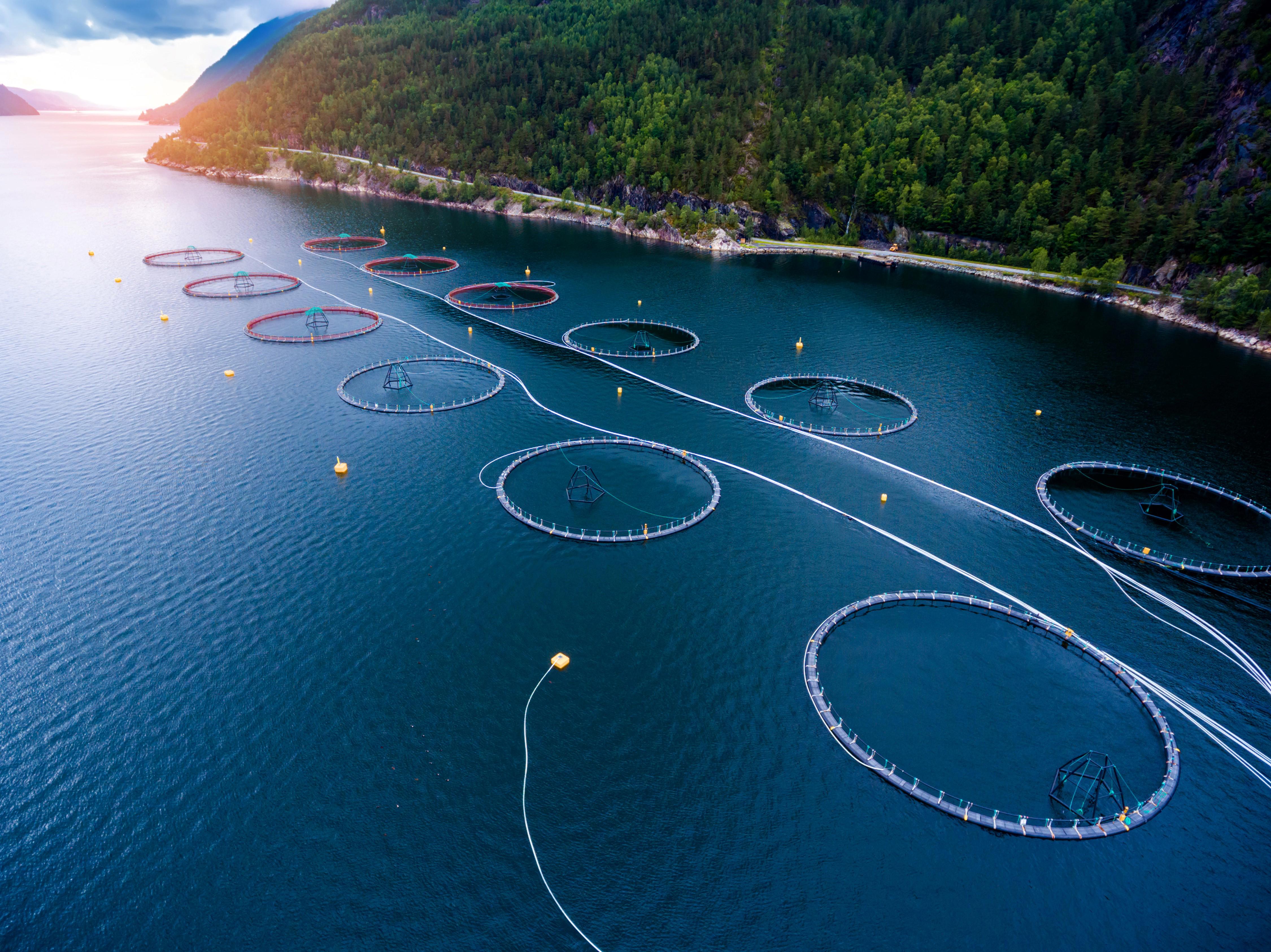 farm-salmon-fishing-in-norway-aerial-photography_4500-x-3372-px-1