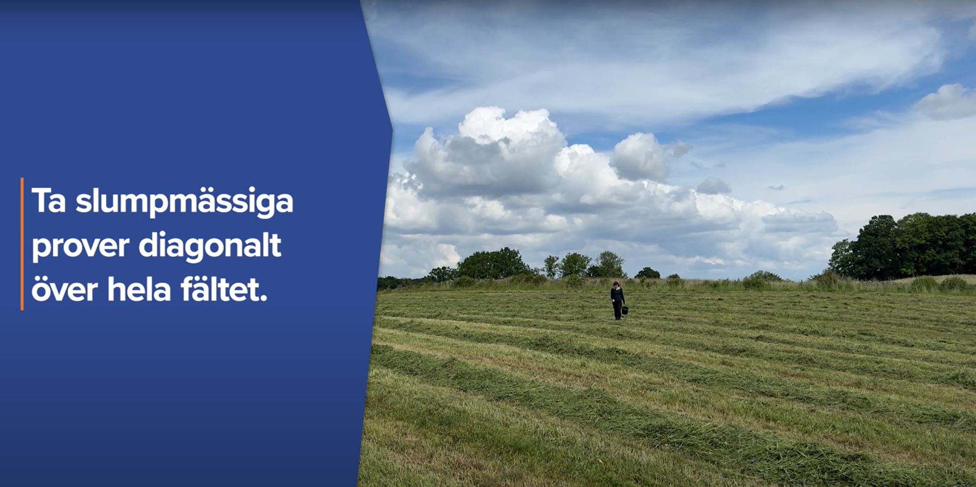 video-provtagning-av-groenmassa