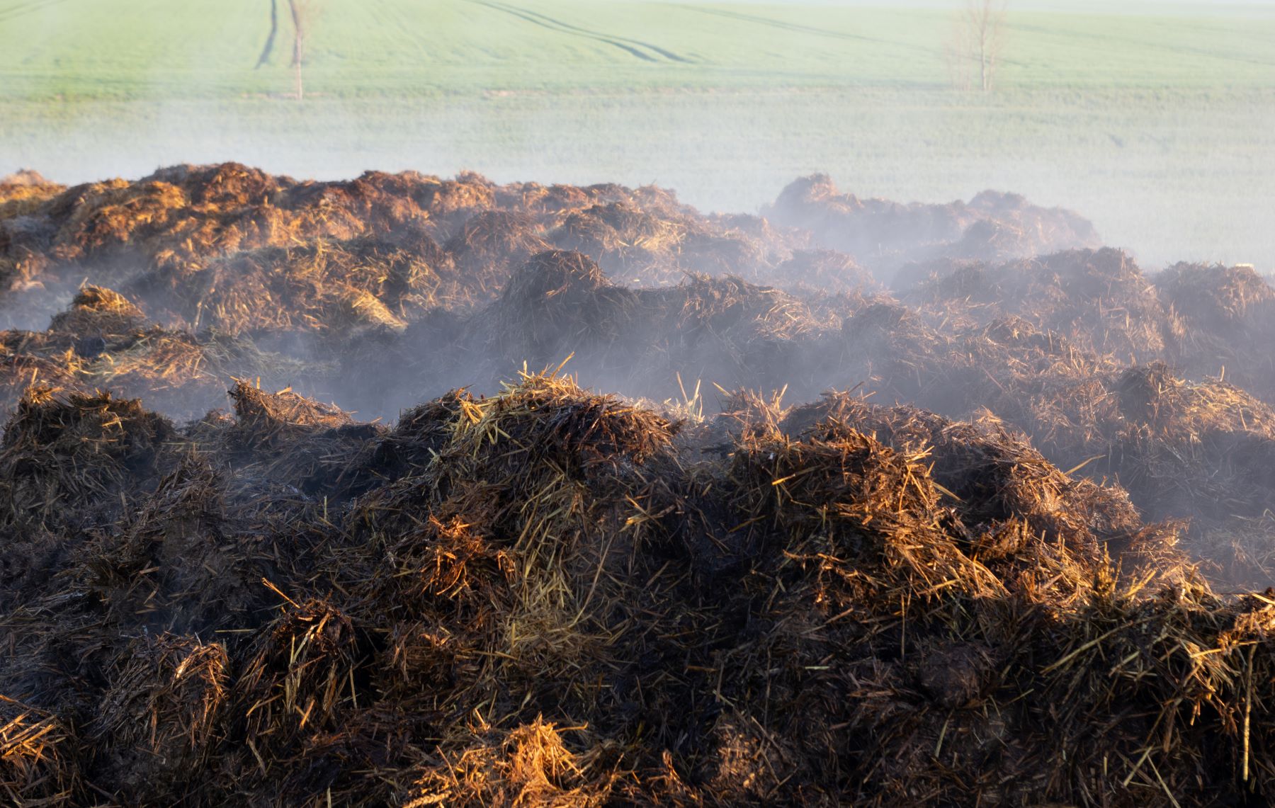 manure-on-a-field_eurofins