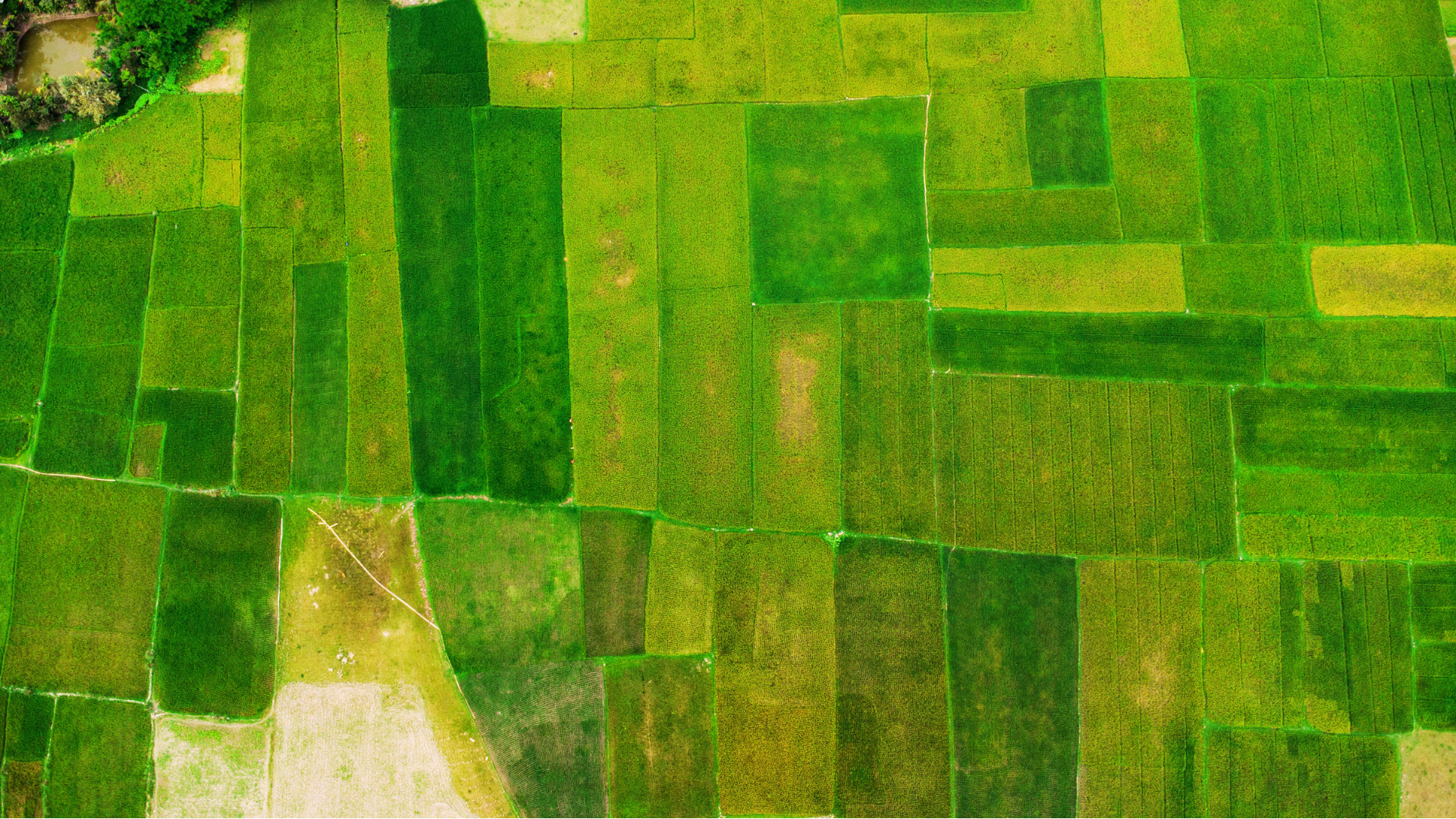 satellitengesttzte